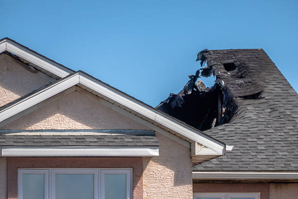Top rated local Odor Removal specialists in Lumberton, NJ